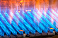 Greenbank gas fired boilers
